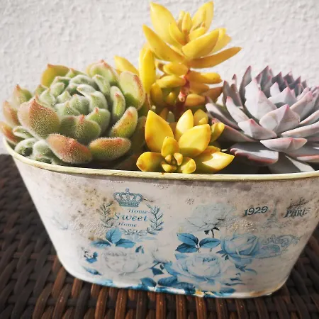 Family Surf - Hostel *