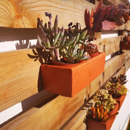 Family Surf - * マフラ